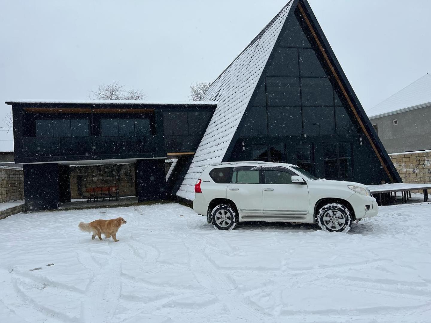 Qafqaz Wood Chalet Gabala Exterior foto